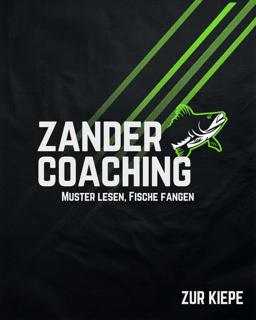 Zander Coaching – Zur Kiepe