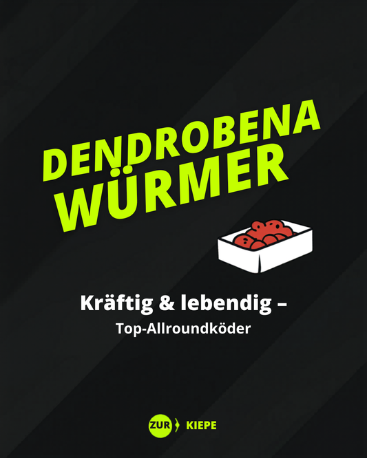 Dendrobena Würmer Groß – Zur Kiepe