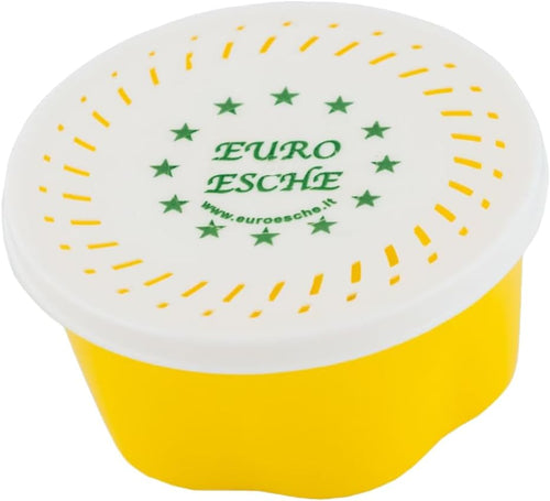 2 Dosen je ca 40 STK Hochwertige Bienenmaden, Wachsmaden, Forellenköder, Angelköder, Futtertiere Frisch und Lebend